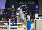 Arioldi R_Viper_Parma2013_S5_6450.jpg : ARIOLDI Roberto, Jumping Parma 2013, Viper, foto di Stefano Secchi ©